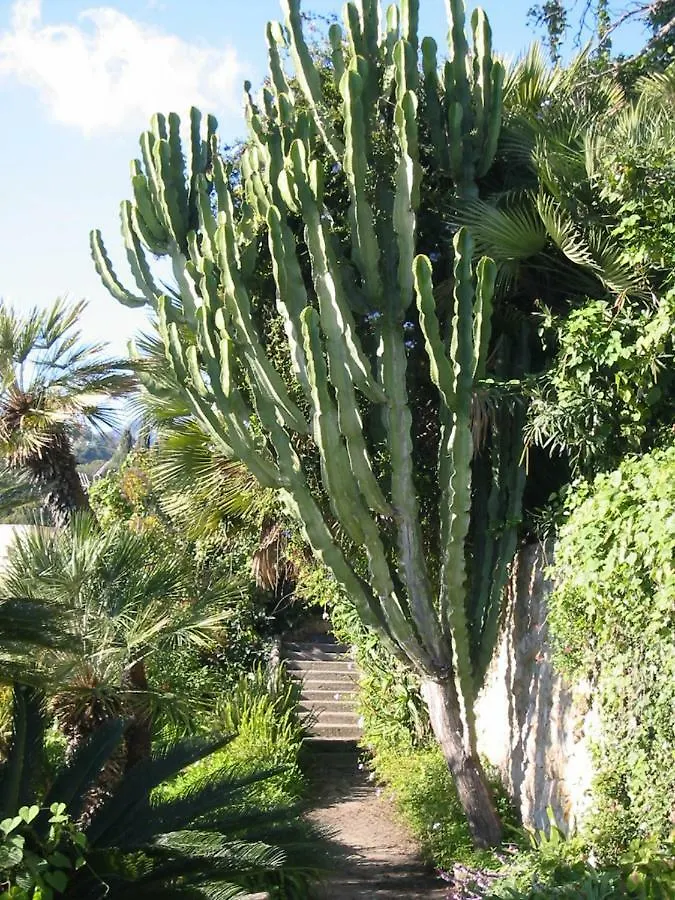 Villa La Favorite Menton Holiday home